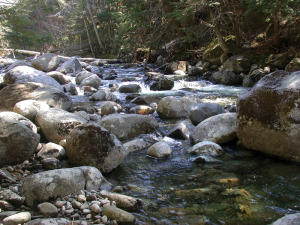 An image of the hubbard brook experimental forest in nh.